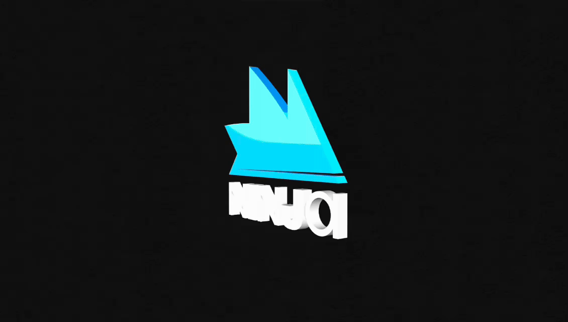 Ninja’s NYE — Ninja 3D Logo